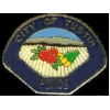 TUSTIN, CA POLICE DEPARMENT MINI PATCH PIN